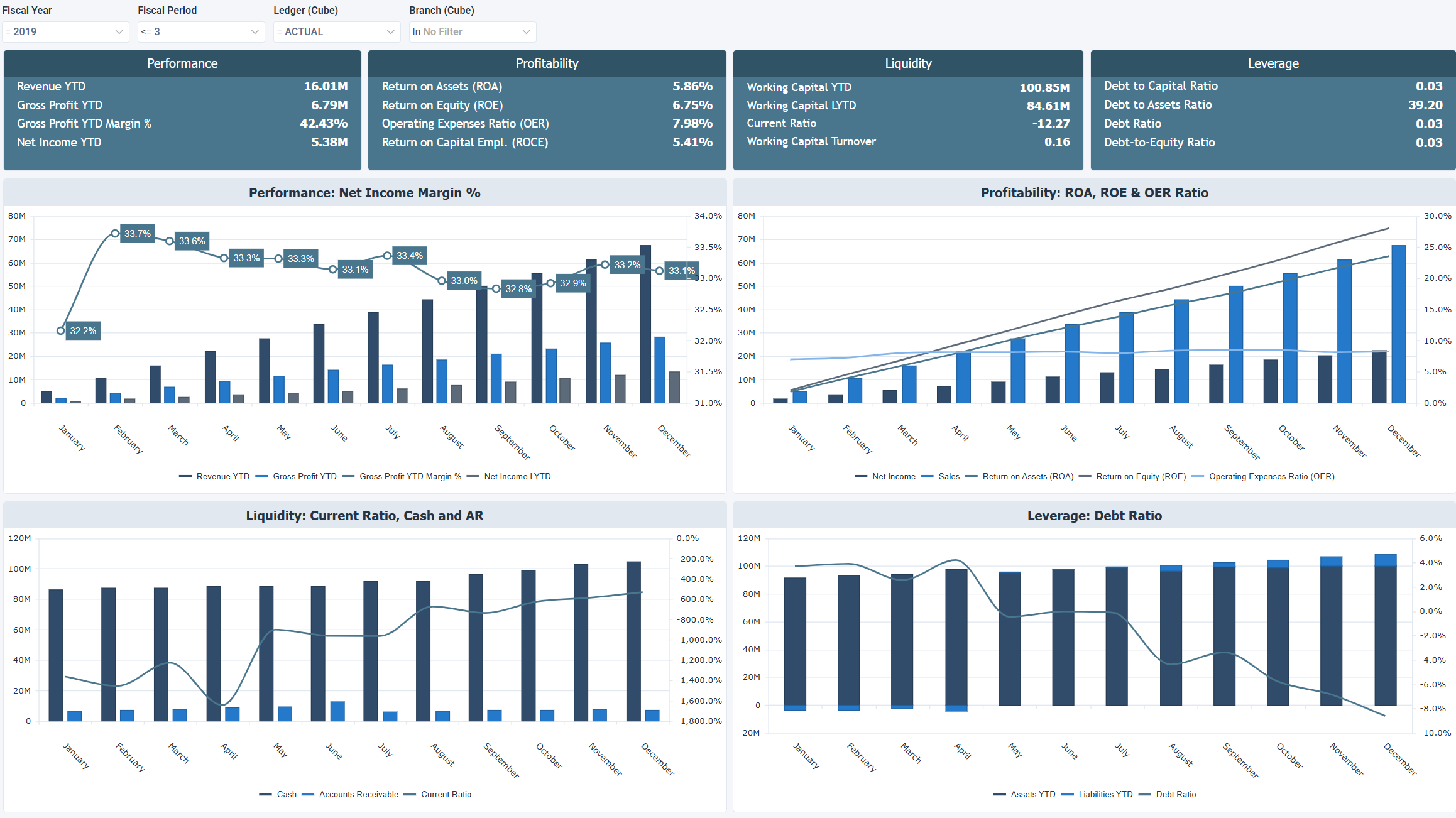 OLAP - CFO Financial Performance Overview